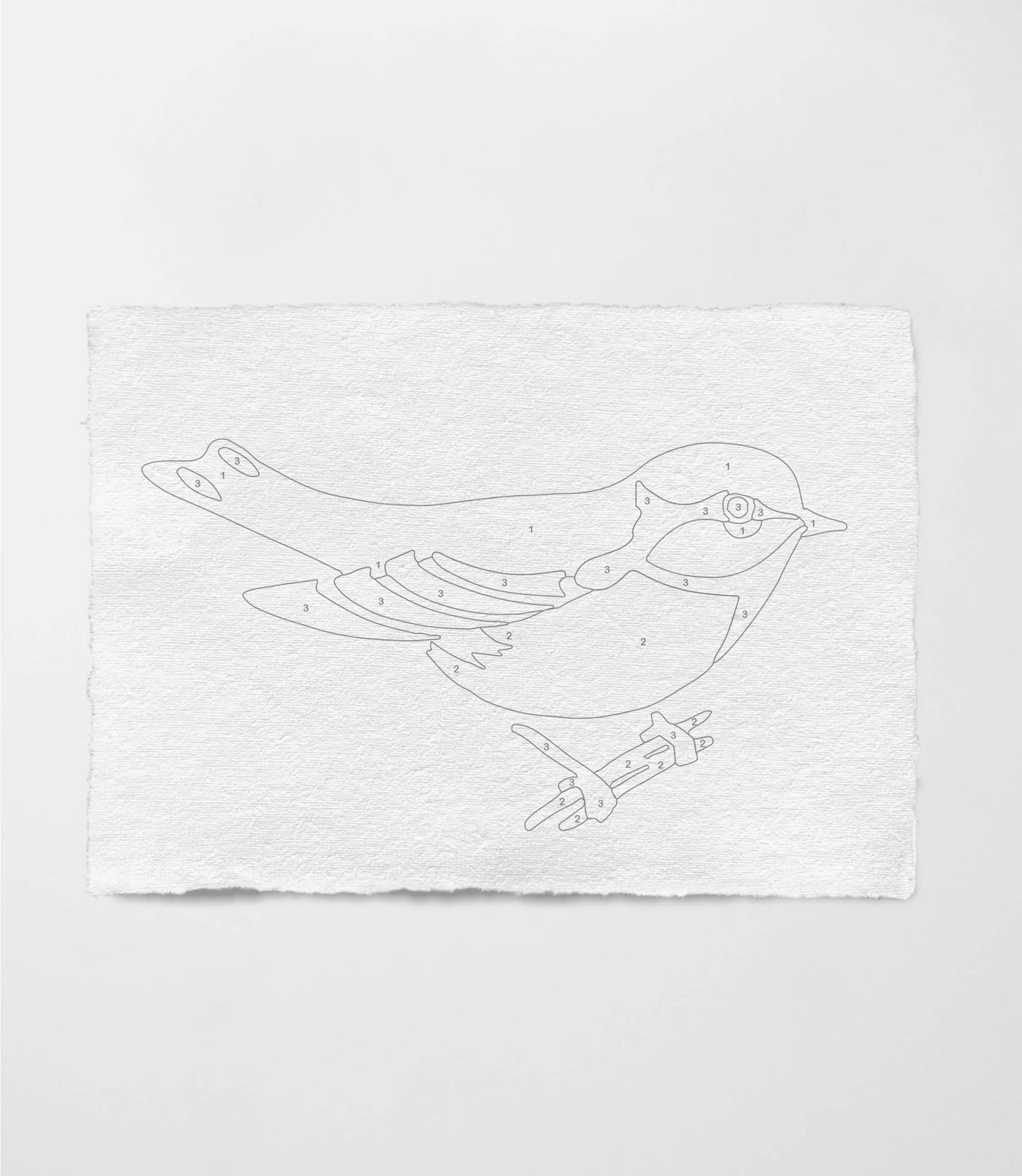 Bird Study : Goldfinch | Modern Paint By Numbers Kit