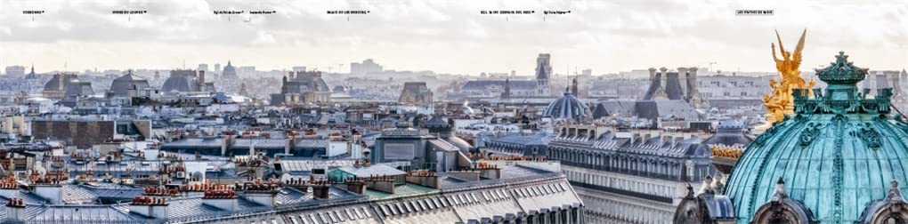 Rooftop Paris: A Panoramic View of the City of Light