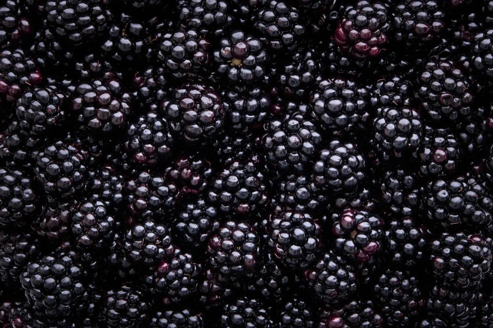 Blackberry and Bay Leaves London Borough of Jam