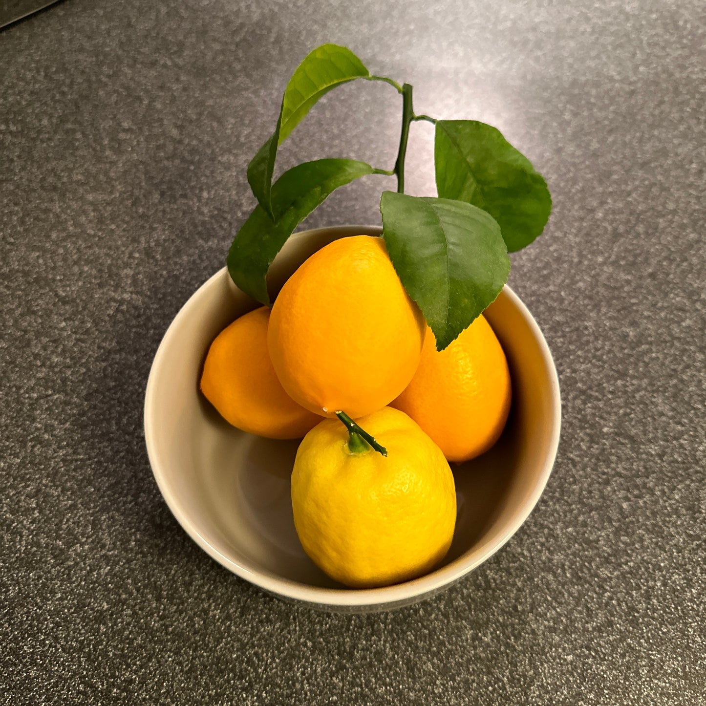 Lemon and Vanilla London Borough of Jam