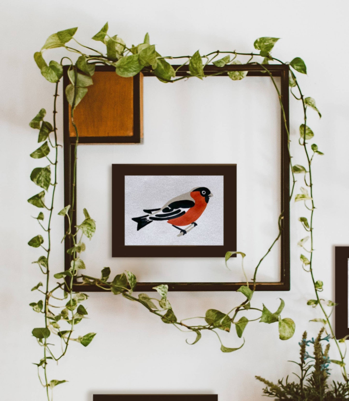 Bird Study : Robin  |  Modern Paint By Numbers Kit