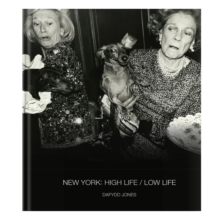 New York High Life/Low Life by Dafydd Jones