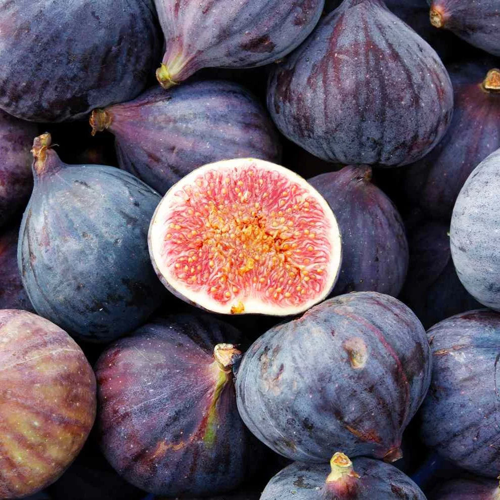 Fig and Earl Grey London Borough of Jam