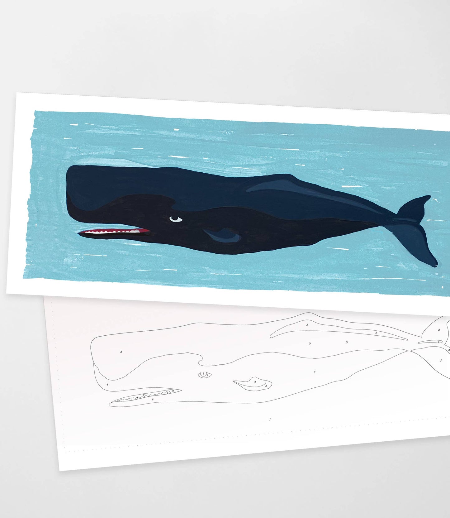 Giant Whale | Modern Paint By Numbers Kit