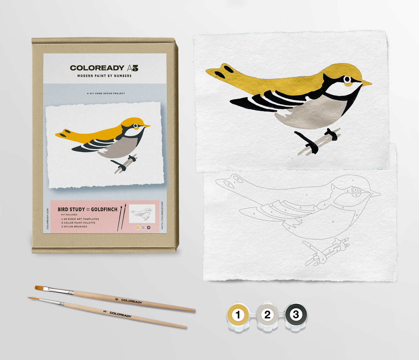 Bird Study : Goldfinch  |  Modern Paint By Numbers Kit