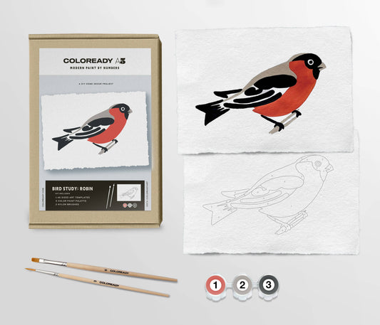 Bird Study : Robin  |  Modern Paint By Numbers Kit
