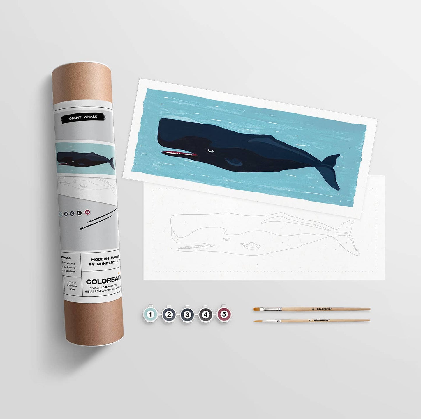 Giant Whale | Modern Paint By Numbers Kit