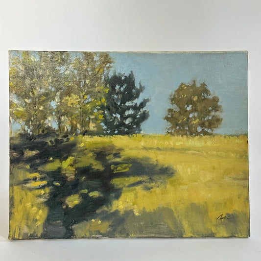 Landscape #4 (Tall Grass), Oil Painting by Steven Miglio